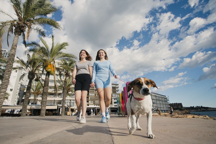 Salou, Pet Friendly