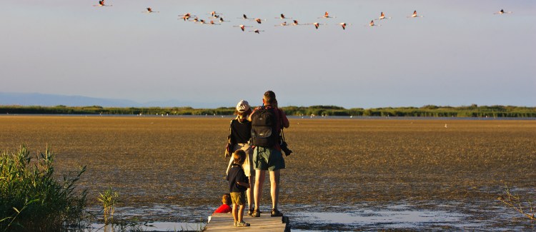 Terres de l'Ebre