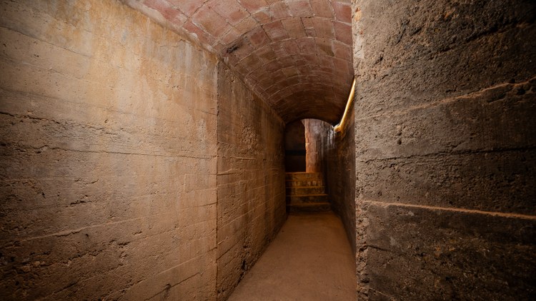 Nido de ametralladoras