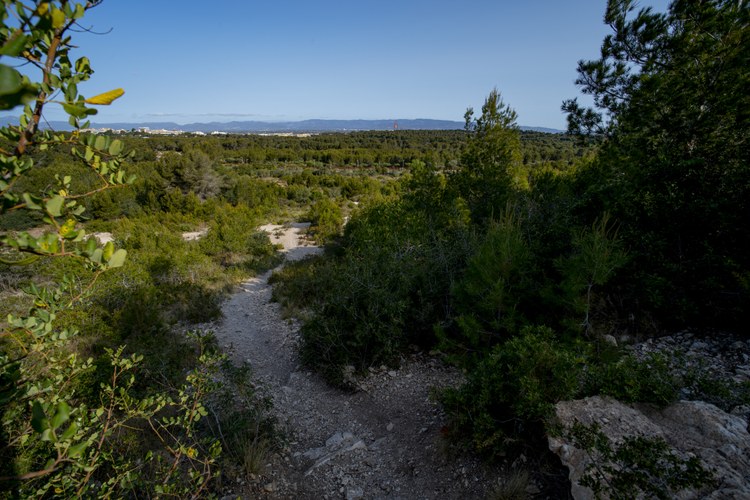 El Paisatge