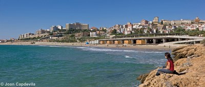 Strand von Miracle