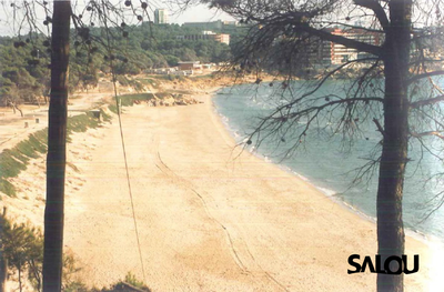 Llarga beach. 1980s