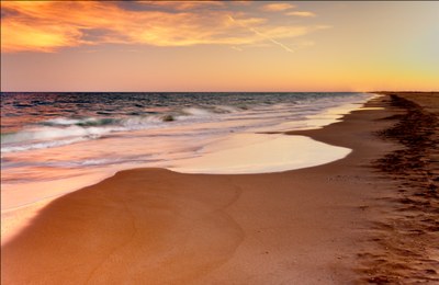 Beaches