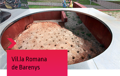 Barrenys banner