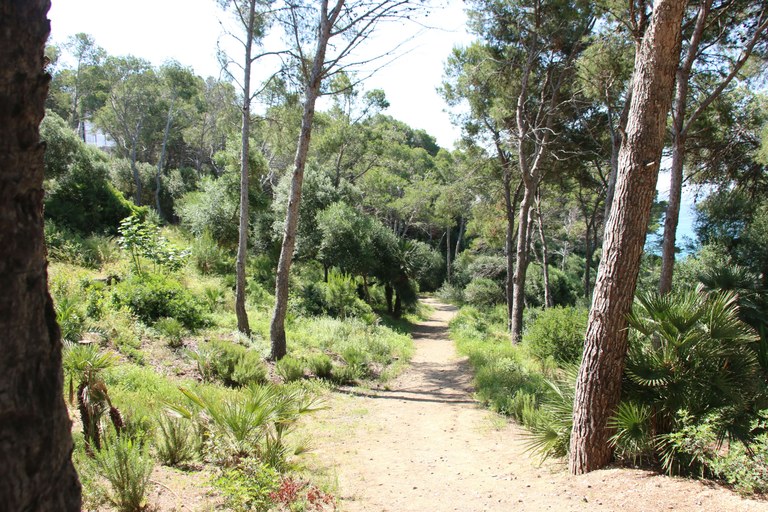 Camí de Ronda - Cap Salou