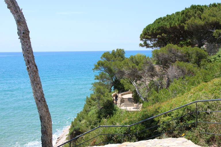 Camí de Ronda - Llarga 04