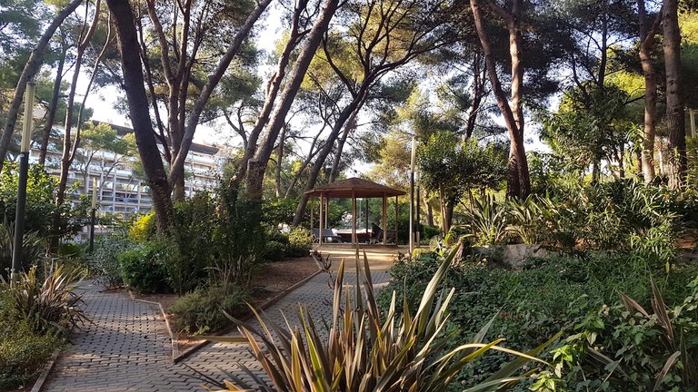 Hivern (72h) 01 Hivern (72h) 01