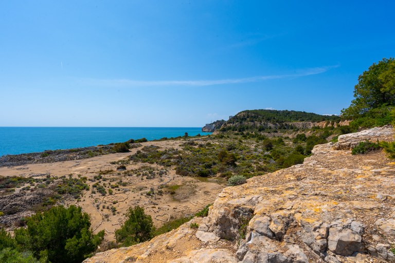 Pedrera 2