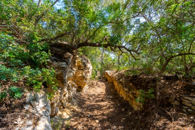 Mirador Trinxeres 01