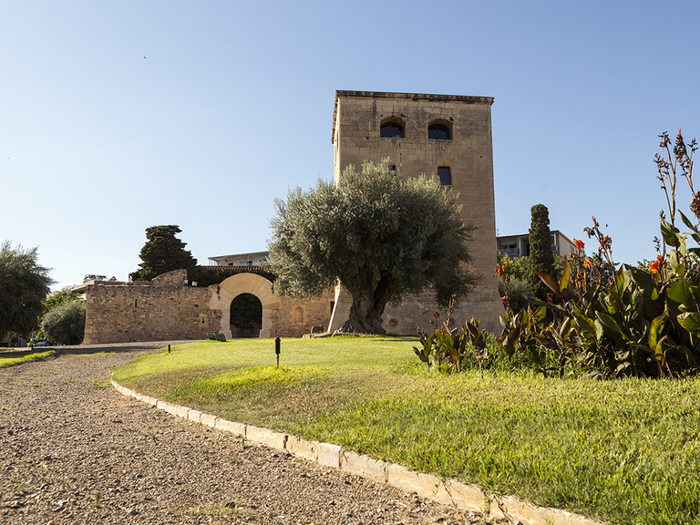 torre vella dia 2