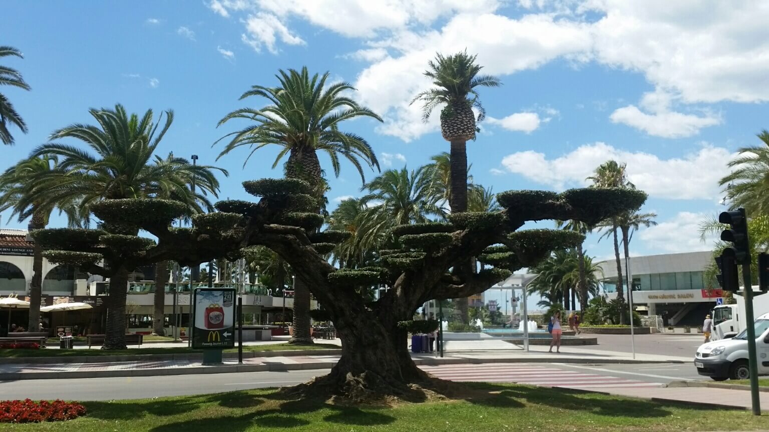 Vila Florida 01