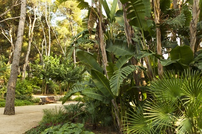 VIU LA NATURA