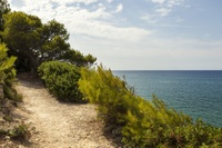 Salou obtiene el compromiso de ejecución de dos nuevos tramos del Camino de Ronda