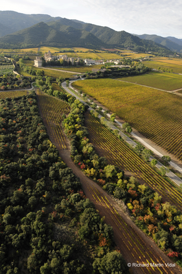 Монастырь Поблет